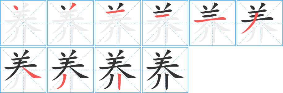 養(yǎng)字的筆順分步演示