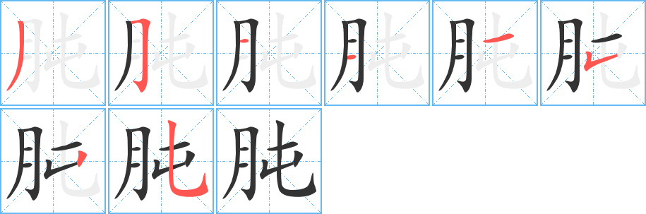 肫字的筆順?lè)植窖菔?></p>
<script src=