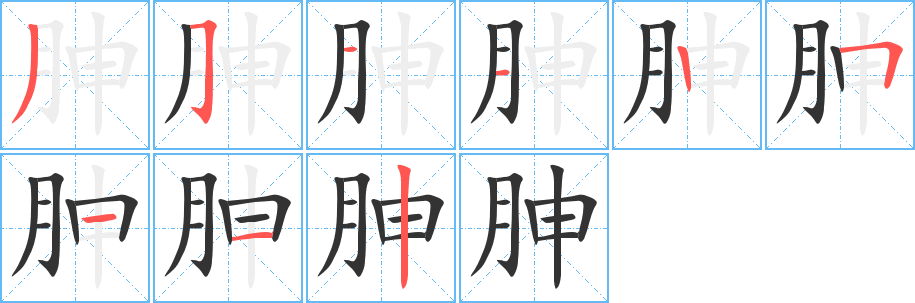 胂字的筆順?lè)植窖菔?></p>
<script src=