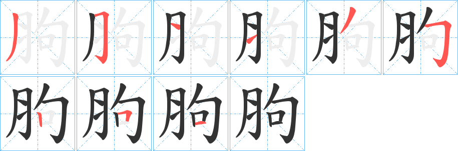 胊字的筆順?lè)植窖菔?></p>
<script src=