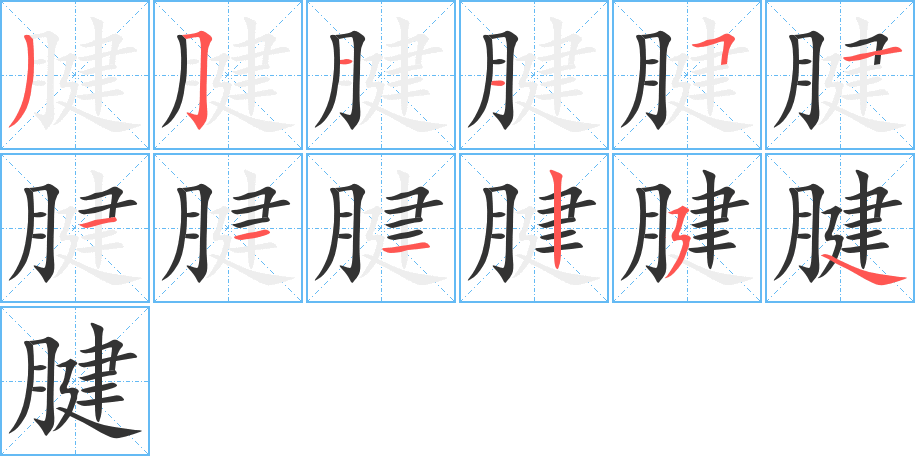 腱字的筆順?lè)植窖菔?></p>
<script src=