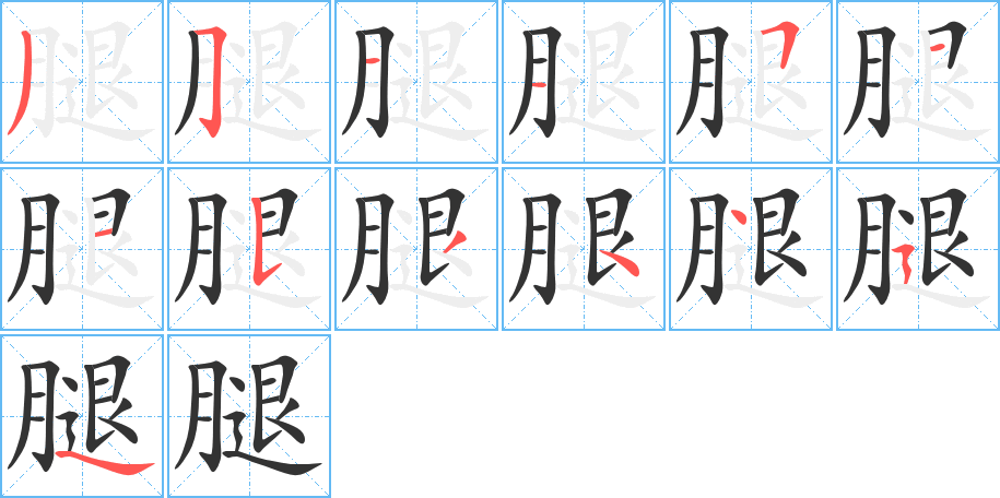 腿字的筆順?lè)植窖菔?></p>
<script src=