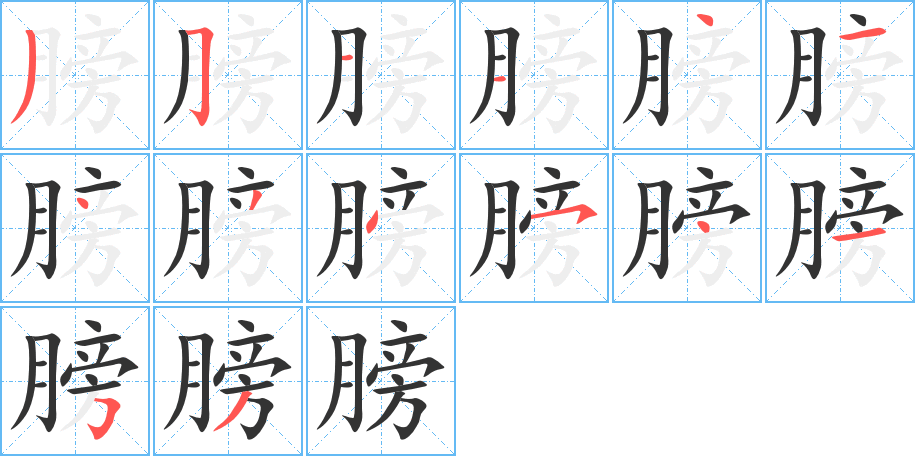 膀字的筆順?lè)植窖菔?></p>
<script src=