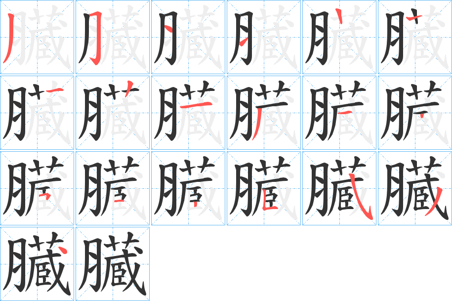 臓字的筆順?lè)植窖菔?></p>
<script src=