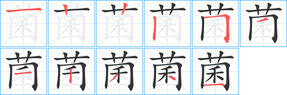 菌字的筆順?lè)植窖菔?></p>
<script src=