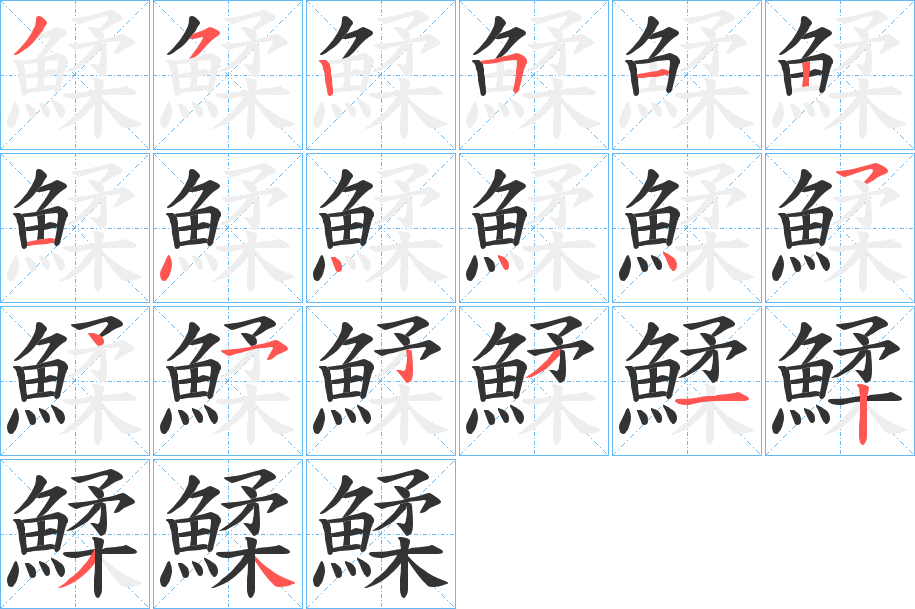 鰇字的筆順?lè)植窖菔?></p>
<script src=